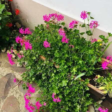 Casa Delia